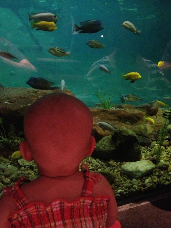 She was mesmerized by the fish.